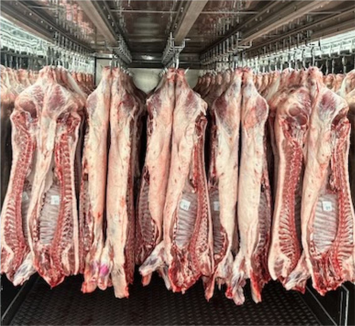 豚枝肉
