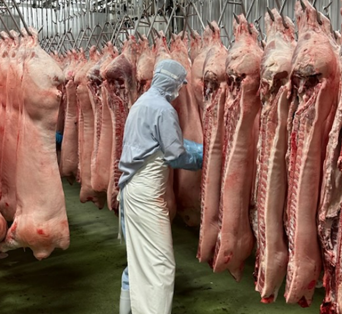 豚枝肉