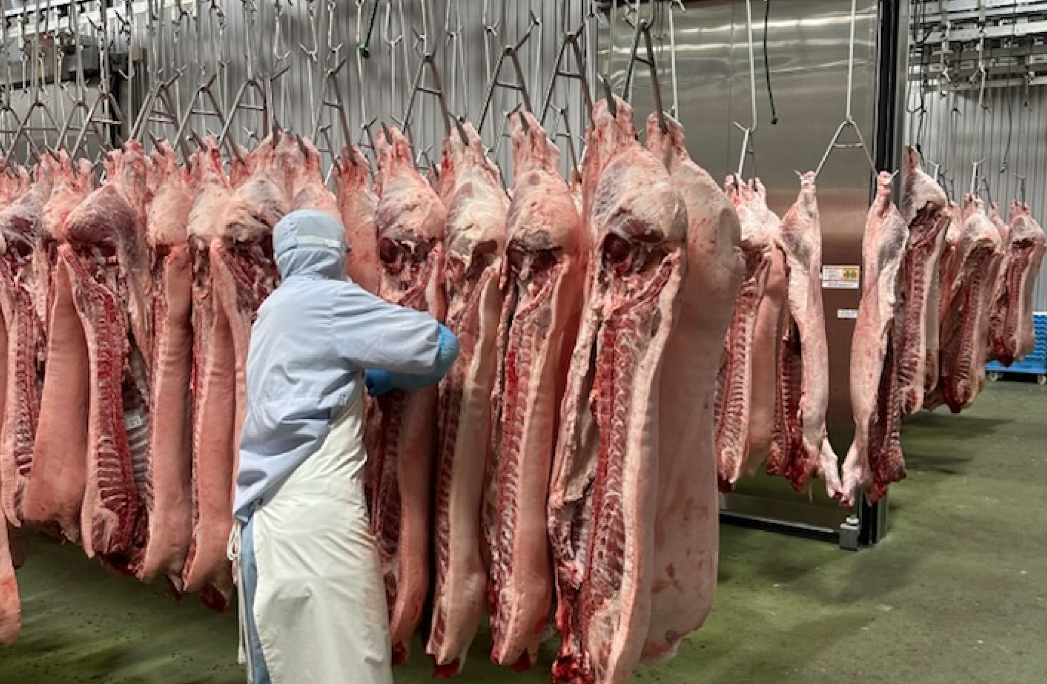 食肉卸売